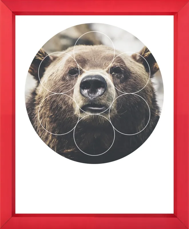 Big Bear Buddy - Geometric Photography by Emiliano Deificus for Artfully Walls