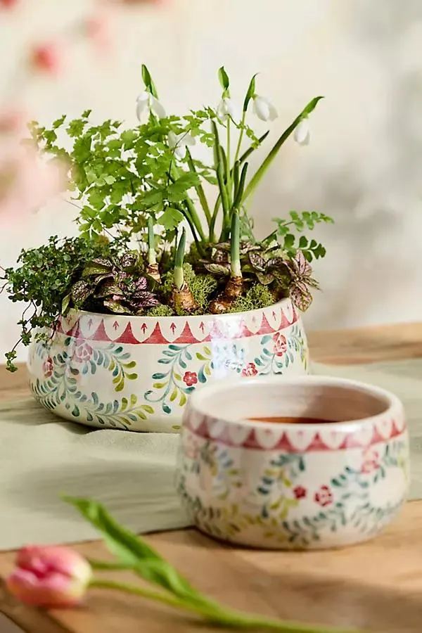 Rose Vine Terracotta Bowl Planter