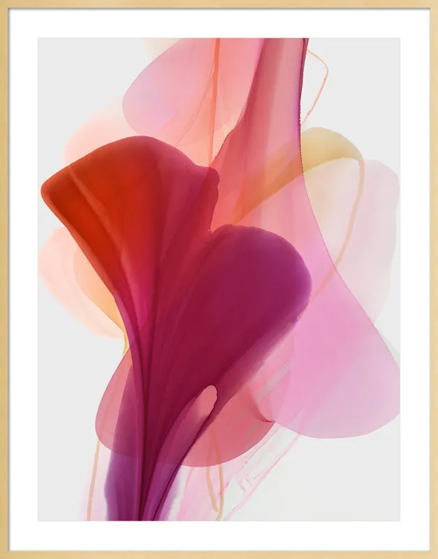 Abstract Flora Bloomlands 33 by Marta Spendowska for Artfully Walls
