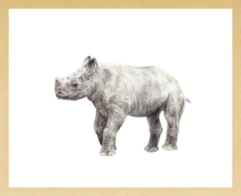 Baby Rhino Watercolor by Lauren Rogoff for Artfully Walls