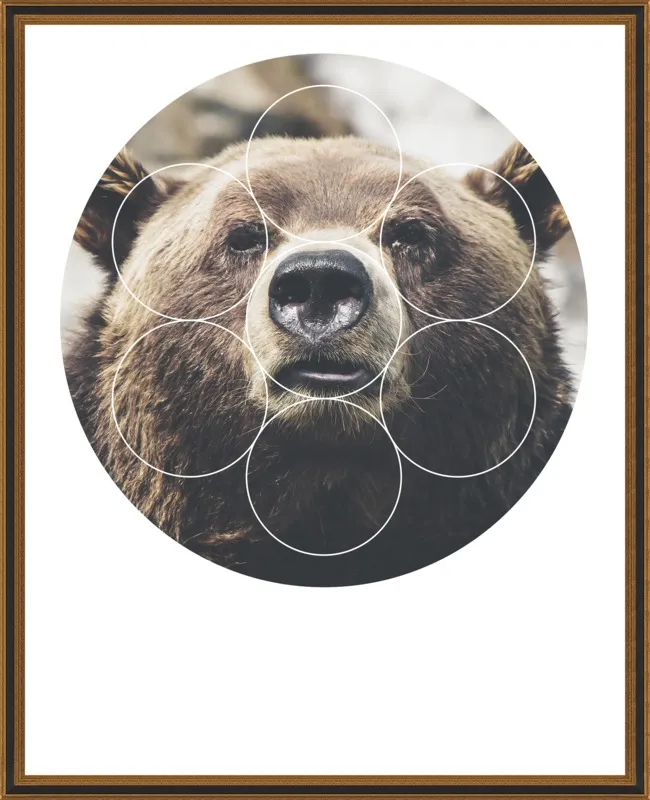 Big Bear Buddy - Geometric Photography by Emiliano Deificus for Artfully Walls