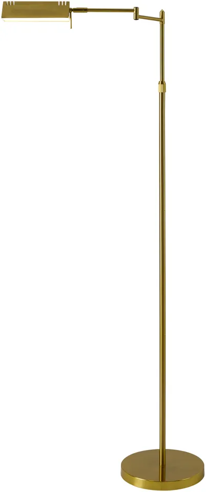 Kiyomi  Electroplated 55"H x 27"W x 10"D Accent Floor Lamp