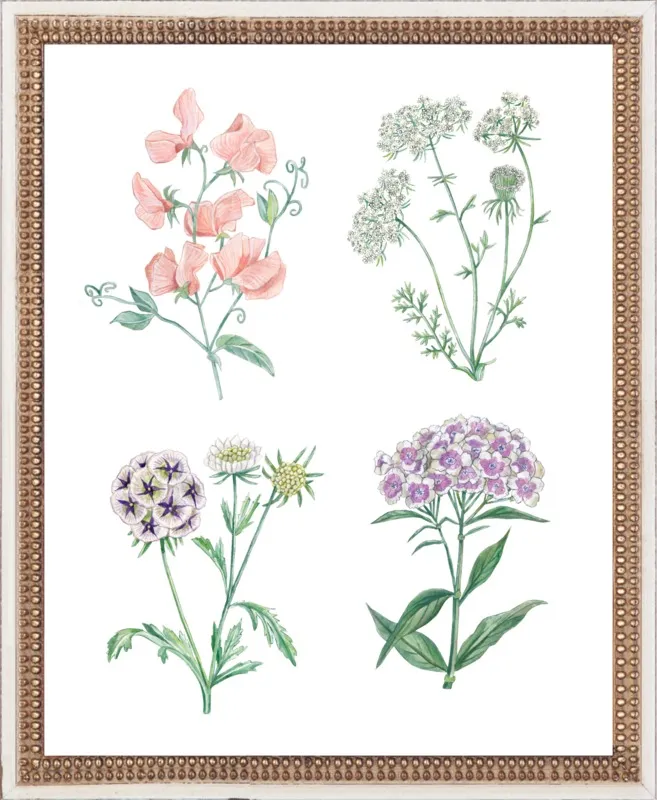 Botanics by Lana Effron for Artfully Walls
