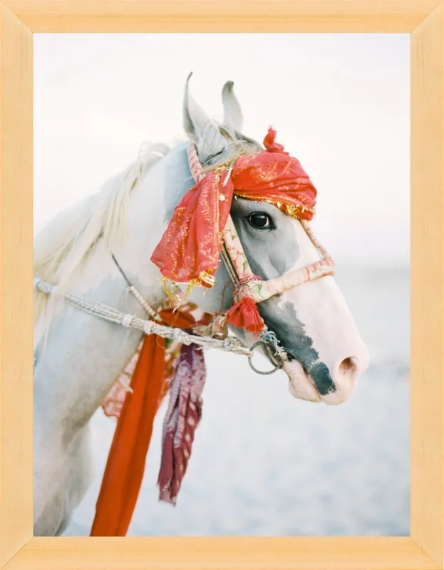 Marwari by Andrew Jacona for Artfully Walls