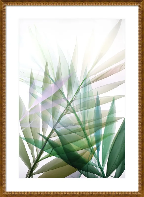 Tropical Study no. 8 by Marina Dunbar  for Artfully Walls