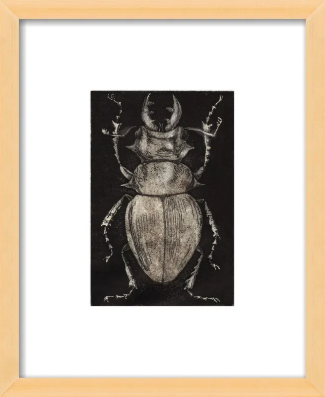 Grey Beetle on Black by Tennopent Sooster for Artfully Walls