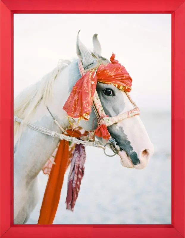 Marwari by Andrew Jacona for Artfully Walls