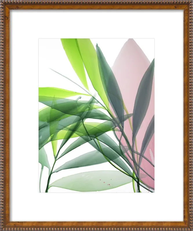 Tropical Study no. 15 by Marina Dunbar  for Artfully Walls