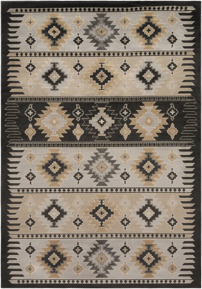 Paramount Black Indoor 8'10" x 12'10" Machine Woven Rug