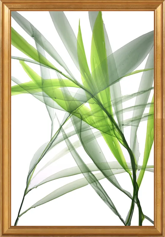 Tropical Study no. 3 by Marina Dunbar  for Artfully Walls