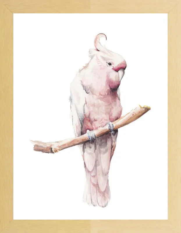 Rose Breasted Cockatoo Watercolor by Lauren Rogoff for Artfully Walls