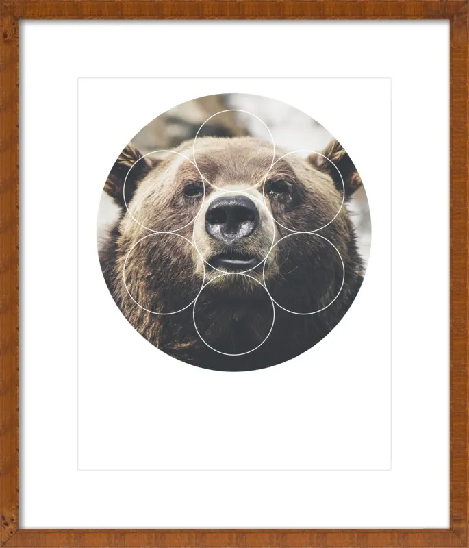 Big Bear Buddy - Geometric Photography by Emiliano Deificus for Artfully Walls