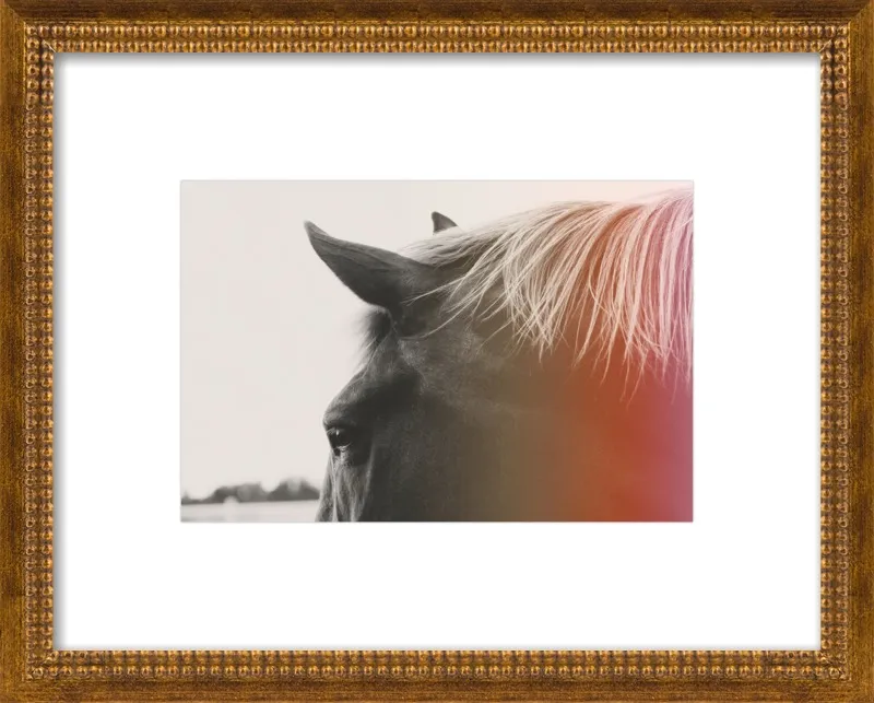 Pink Pony by Alicia Bock for Artfully Walls