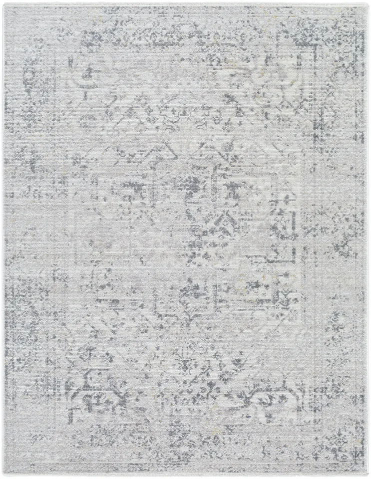 Azhar  Indoor 7'10" x 10' Machine Woven Rug