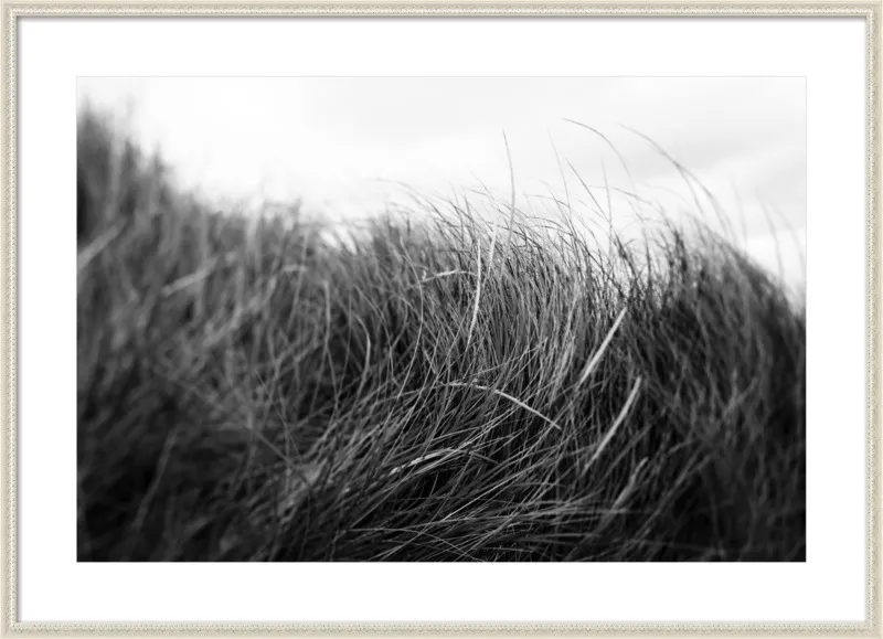 Beach Grass #3 by Alicia Bock for Artfully Walls