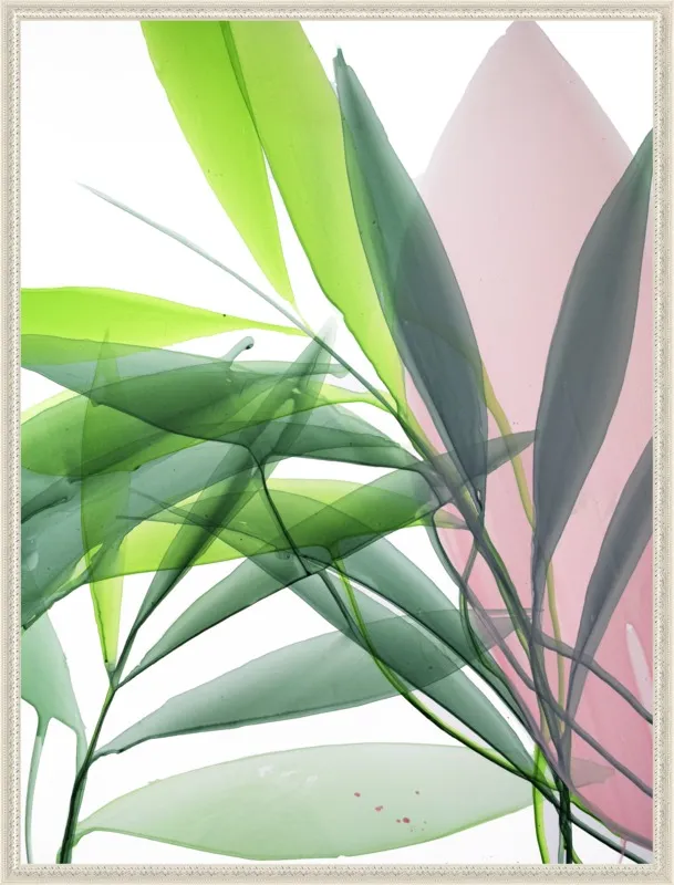 Tropical Study no. 15 by Marina Dunbar  for Artfully Walls