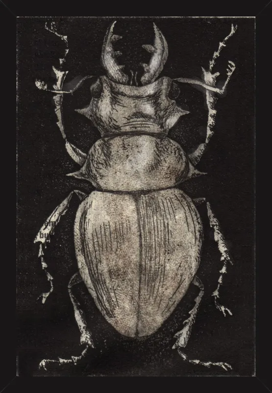 Grey Beetle on Black by Tennopent Sooster for Artfully Walls