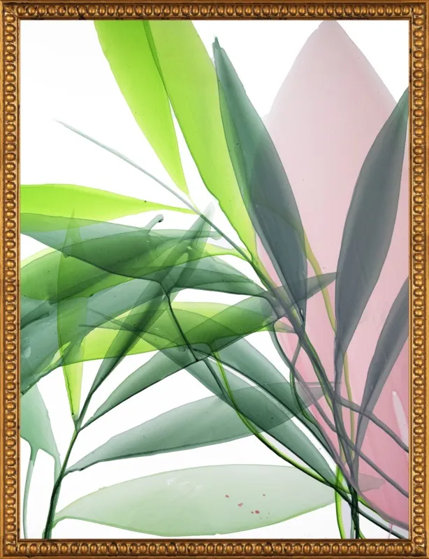 Tropical Study no. 15 by Marina Dunbar  for Artfully Walls