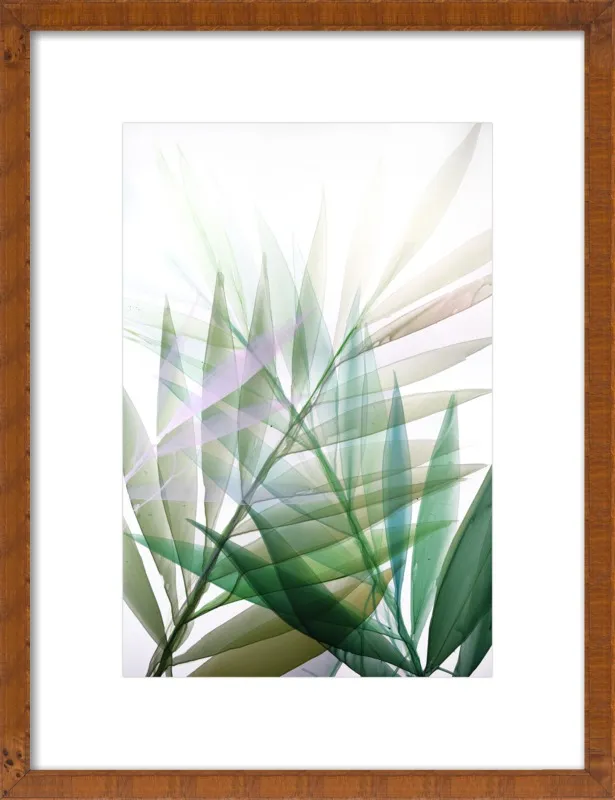 Tropical Study no. 8 by Marina Dunbar  for Artfully Walls
