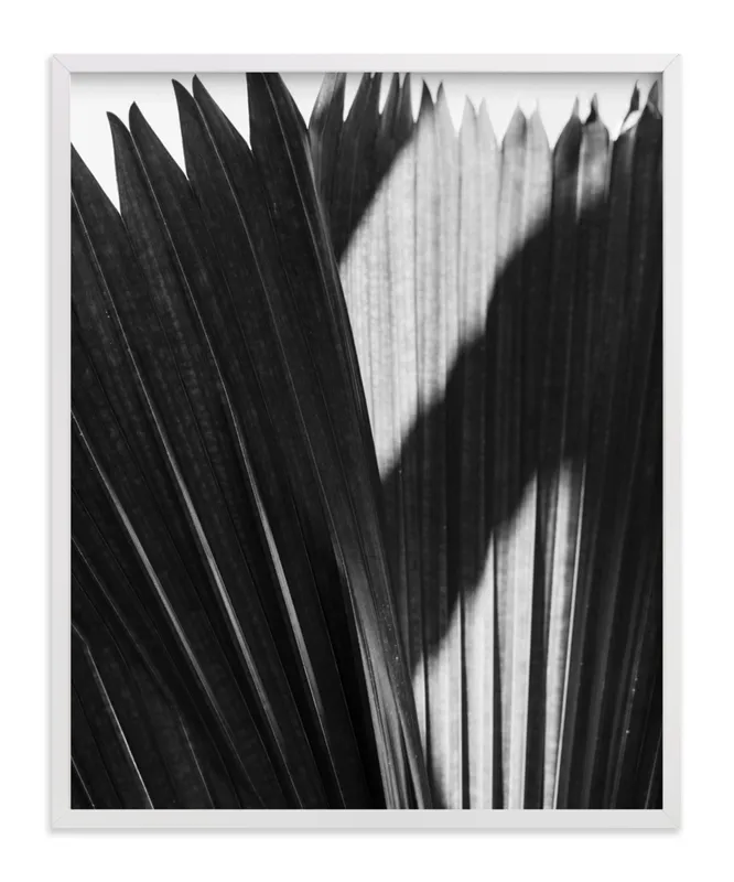 Palmery 2 Limited Edition Fine Art Print