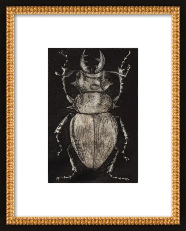 Grey Beetle on Black by Tennopent Sooster for Artfully Walls