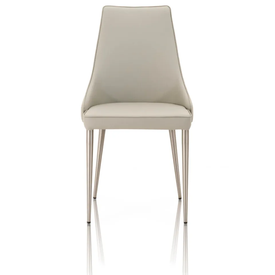 Ivy Dining Chair, Set of 2