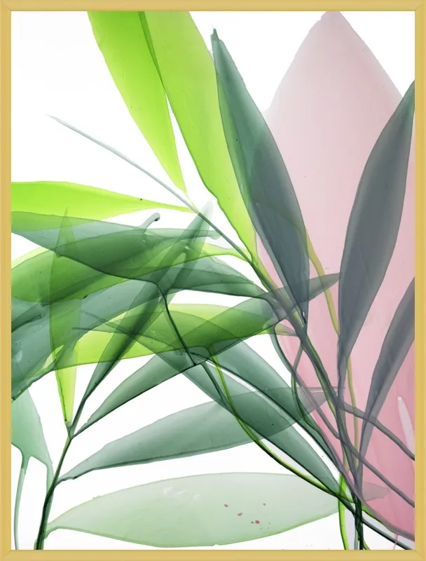 Tropical Study no. 15 by Marina Dunbar  for Artfully Walls