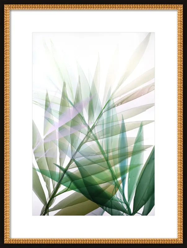 Tropical Study no. 8 by Marina Dunbar  for Artfully Walls