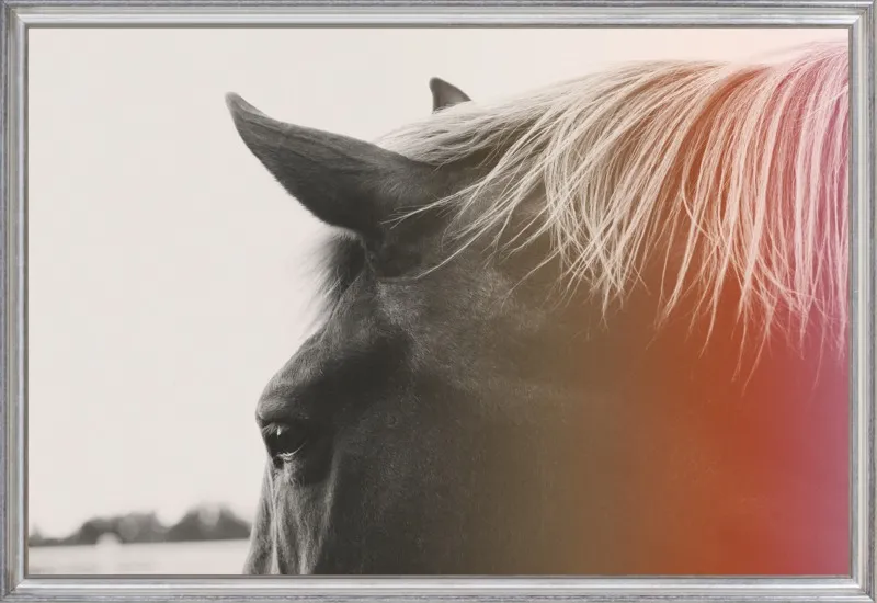 Pink Pony by Alicia Bock for Artfully Walls
