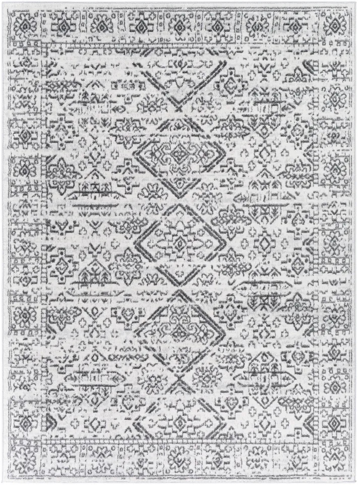 Cesar Gray Indoor 5'3" x 7' Machine Woven Rug