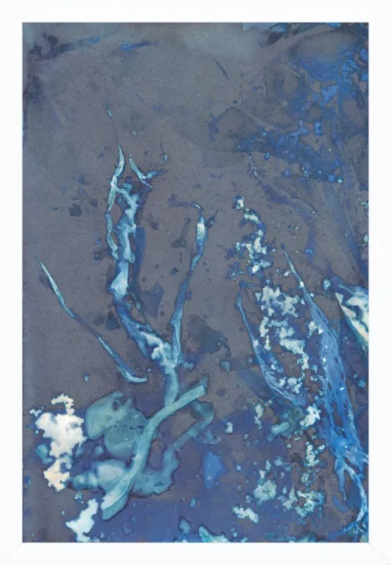 The Secret Life of Rockpools No. 32/100 by Desiree Elizabeth Malan for Artfully Walls