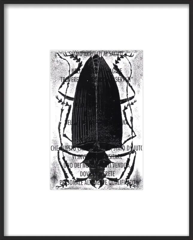 Black Beetle on Words by Tennopent Sooster for Artfully Walls