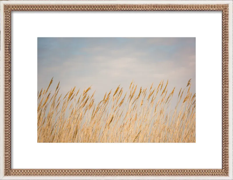 Nantucket Gold by Ann Hudec for Artfully Walls
