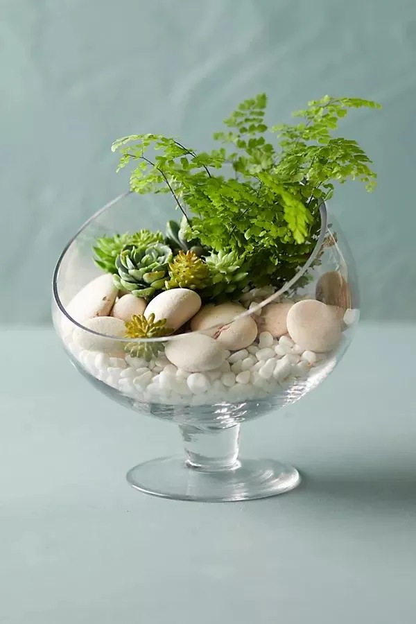 Footed Spotlight Terrarium, Medium