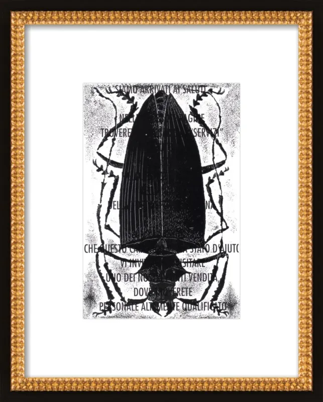 Black Beetle on Words by Tennopent Sooster for Artfully Walls