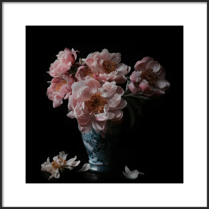 Pink Peonies  by Lucy Snowe for Artfully Walls