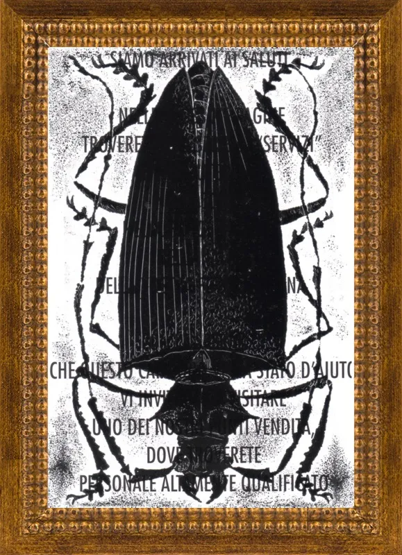 Black Beetle on Words by Tennopent Sooster for Artfully Walls