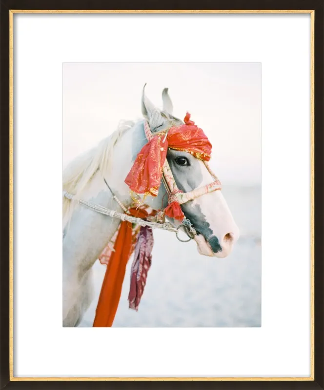 Marwari by Andrew Jacona for Artfully Walls