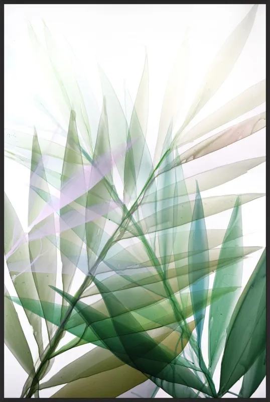 Tropical Study no. 8 by Marina Dunbar  for Artfully Walls