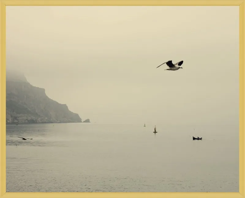 one day I will fly away by Ingrid Beddoes for Artfully Walls