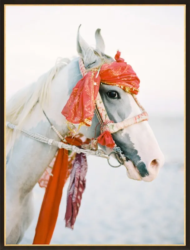Marwari by Andrew Jacona for Artfully Walls