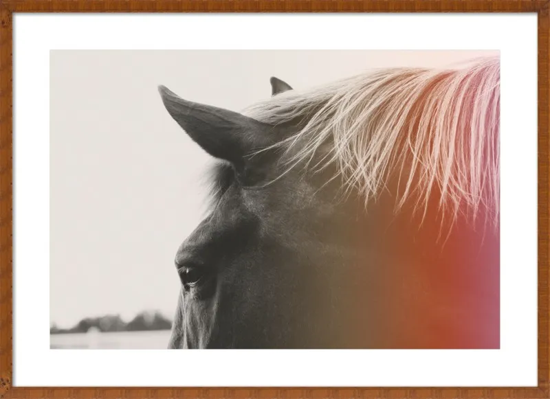 Pink Pony by Alicia Bock for Artfully Walls