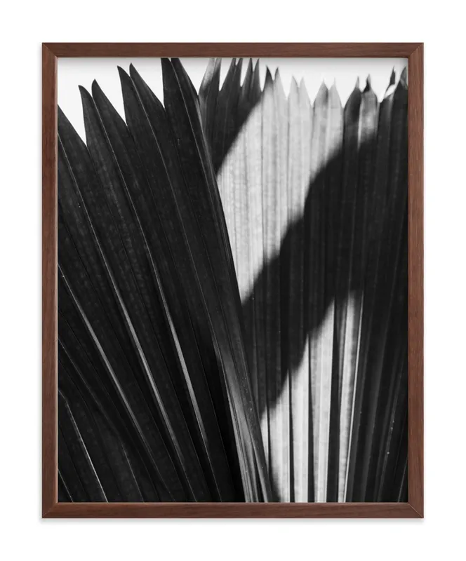 Palmery 2 Limited Edition Fine Art Print