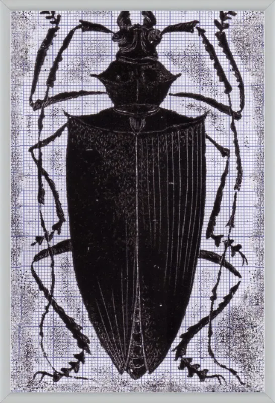 Black Beetle on Grey by Tennopent Sooster for Artfully Walls