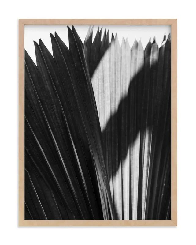 Palmery 2 Limited Edition Fine Art Print