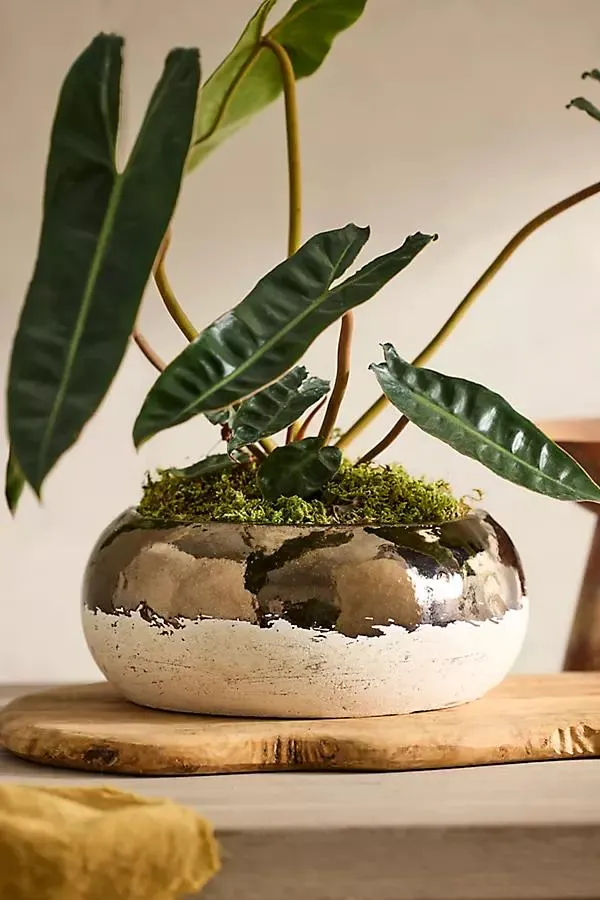 Metallic Colorblock Ceramic Bowl Planter