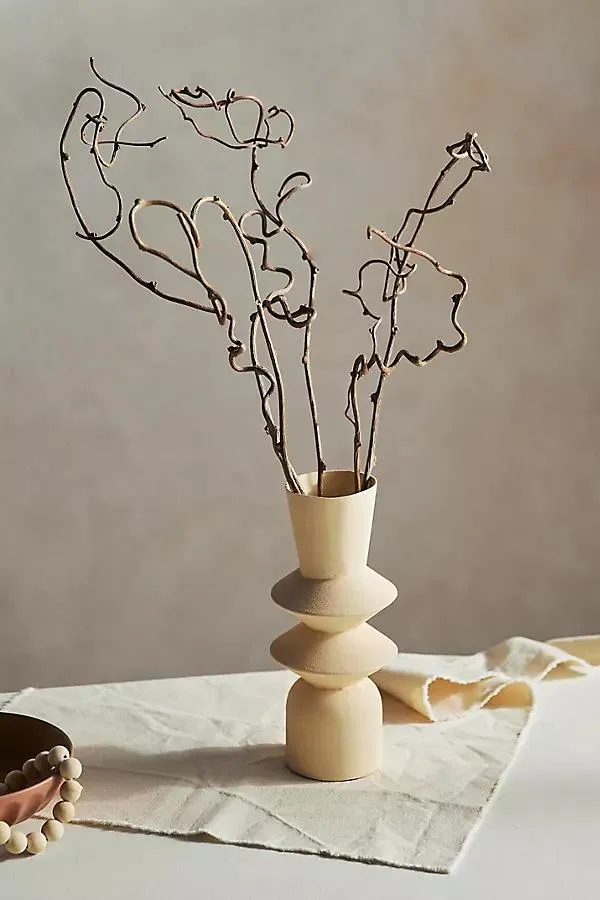Dried Kiwi Vine Bunch