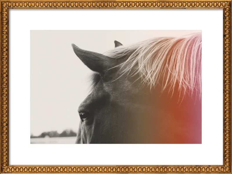 Pink Pony by Alicia Bock for Artfully Walls