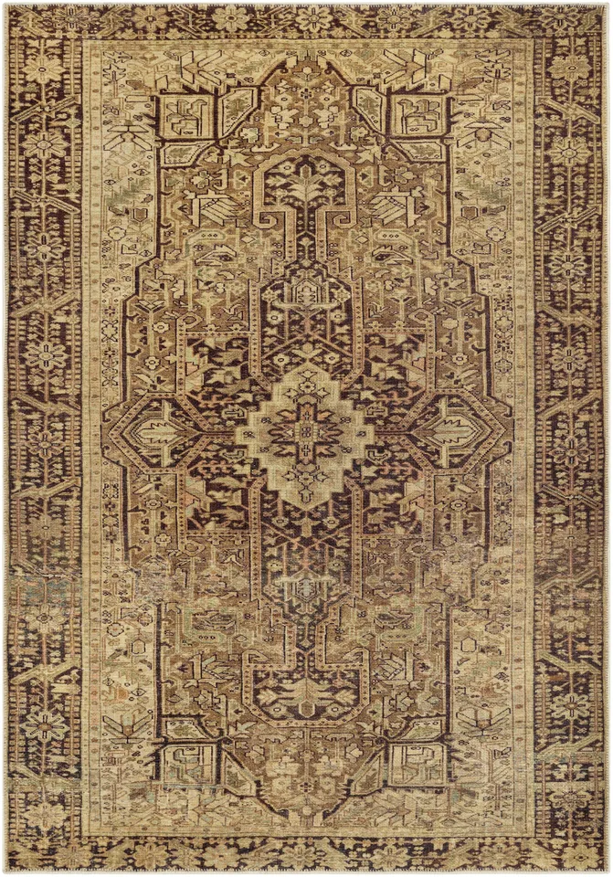 Amelie Brown Indoor 8'10" x 12' Machine Woven Rug