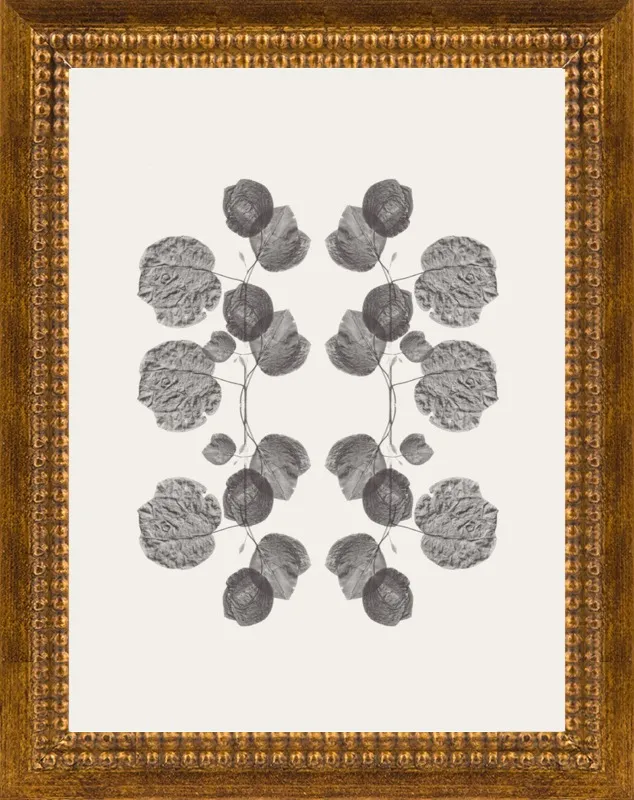 The Last Bougainvillea Rorschach by Corina Nika for Artfully Walls